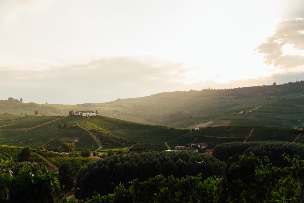 Fotografo Ritratto Palas Cerequio Barolo Cru Resort fotografo ritratto palas cerequio barolo cru resort